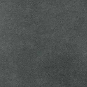 DAR44725