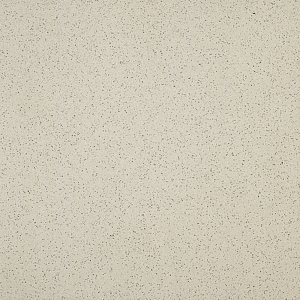 TAL61061