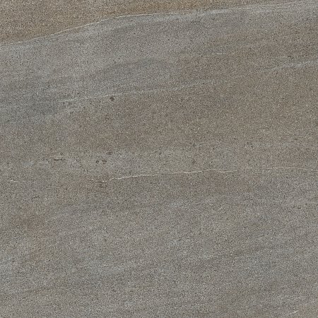 DAK63736
